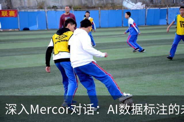 深入Mercor对话：AI数据标注的未来与市场变化